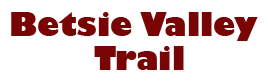 Betsie Valley Trail logo